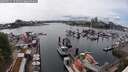 ./images/victoria/wharf/20250521/wharf20250521_154010M.jpg