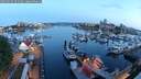 ./images/victoria/wharf/20250522/wharf20250522_051009M.jpg
