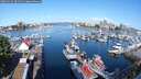 ./images/victoria/wharf/20250522/wharf20250522_091510M.jpg