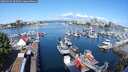 ./images/victoria/wharf/20250522/wharf20250522_095010M.jpg