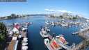 ./images/victoria/wharf/20250522/wharf20250522_111010M.jpg
