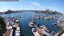 ./images/victoria/wharf/20250522/wharf20250522_142011M.jpg