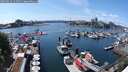 ./images/victoria/wharf/20250522/wharf20250522_144510M.jpg