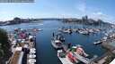 ./images/victoria/wharf/20250522/wharf20250522_150011M.jpg