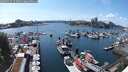 ./images/victoria/wharf/20250522/wharf20250522_153509M.jpg