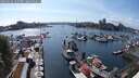 ./images/victoria/wharf/20250522/wharf20250522_164507M.jpg