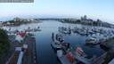 ./images/victoria/wharf/20250523/wharf20250523_052506M.jpg