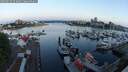 ./images/victoria/wharf/20250523/wharf20250523_053009M.jpg