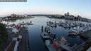 ./images/victoria/wharf/20250523/wharf20250523_053509M.jpg