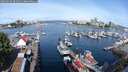 ./images/victoria/wharf/20250523/wharf20250523_092510M.jpg