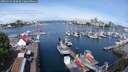 ./images/victoria/wharf/20250523/wharf20250523_100012M.jpg