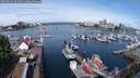 ./images/victoria/wharf/20250523/wharf20250523_101511M.jpg