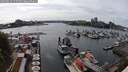 ./images/victoria/wharf/20250523/wharf20250523_155509M.jpg