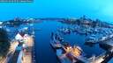 ./images/victoria/wharf/20250524/wharf20250524_045509M.jpg