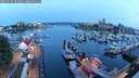 ./images/victoria/wharf/20250524/wharf20250524_051009M.jpg