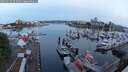 ./images/victoria/wharf/20250524/wharf20250524_053508M.jpg