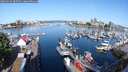 ./images/victoria/wharf/20250524/wharf20250524_085510M.jpg