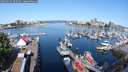 ./images/victoria/wharf/20250524/wharf20250524_092509M.jpg