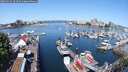 ./images/victoria/wharf/20250524/wharf20250524_104009M.jpg