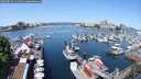 ./images/victoria/wharf/20250524/wharf20250524_111510M.jpg