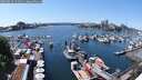 ./images/victoria/wharf/20250524/wharf20250524_141011M.jpg