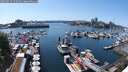 ./images/victoria/wharf/20250524/wharf20250524_150510M.jpg