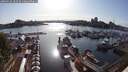 ./images/victoria/wharf/20250524/wharf20250524_182509M.jpg