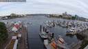 ./images/victoria/wharf/20250525/wharf20250525_073011M.jpg