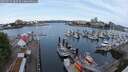 ./images/victoria/wharf/20250525/wharf20250525_082510M.jpg