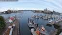 ./images/victoria/wharf/20250525/wharf20250525_083011M.jpg