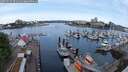 ./images/victoria/wharf/20250525/wharf20250525_091511M.jpg