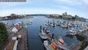 ./images/victoria/wharf/20250525/wharf20250525_092011M.jpg