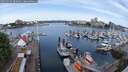 ./images/victoria/wharf/20250525/wharf20250525_093011M.jpg