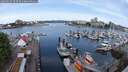 ./images/victoria/wharf/20250525/wharf20250525_093509M.jpg