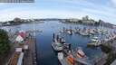 ./images/victoria/wharf/20250525/wharf20250525_094508M.jpg
