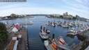 ./images/victoria/wharf/20250525/wharf20250525_095008M.jpg