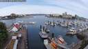 ./images/victoria/wharf/20250525/wharf20250525_100510M.jpg