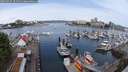 ./images/victoria/wharf/20250525/wharf20250525_101510M.jpg