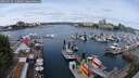 ./images/victoria/wharf/20250525/wharf20250525_120012M.jpg