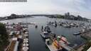 ./images/victoria/wharf/20250525/wharf20250525_150012M.jpg