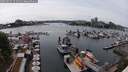 ./images/victoria/wharf/20250525/wharf20250525_151510M.jpg