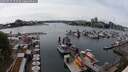 ./images/victoria/wharf/20250525/wharf20250525_152509M.jpg