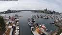./images/victoria/wharf/20250525/wharf20250525_153011M.jpg