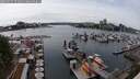 ./images/victoria/wharf/20250525/wharf20250525_154010M.jpg