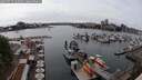 ./images/victoria/wharf/20250525/wharf20250525_160012M.jpg