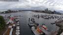 ./images/victoria/wharf/20250525/wharf20250525_184510M.jpg