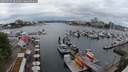 ./images/victoria/wharf/20250525/wharf20250525_201008M.jpg