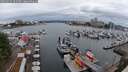 ./images/victoria/wharf/20250525/wharf20250525_201509M.jpg