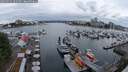 ./images/victoria/wharf/20250525/wharf20250525_202509M.jpg