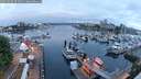 ./images/victoria/wharf/20250526/wharf20250526_052509M.jpg